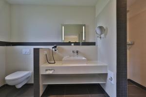 萨尔斯塔特古德库克酒店的一间带水槽、卫生间和镜子的浴室