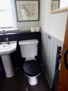 埃斯克代尔High Ground Cottage, Eskdale的一间带卫生间和水槽的浴室