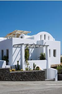 莫诺利索斯Aegean Diamonds Luxury Suites的前面有仙人掌的白色房子