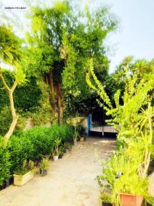 阿斯旺阿斯旺努比亚度假酒店的种有树木和植物的花园,围栏