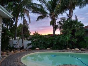 UitenhageMi Casa Guest House的棕榈树庭院内的游泳池