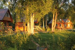 塔尔基特纳Susitna River Lodging, Riverside Cabins的树荫庭院中间的小木屋