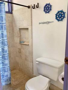 San OnofreCasita Caribe en reserva natural, playa privada, kayaks, wifi, aire acondicionado的浴室设有白色卫生间和蓝色的浴帘。