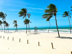 考卡亚Resort VG SUN por Be My Guest!的海滩上一排棕榈树与大海