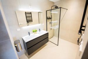 鹿特丹Earnestly 1 Bedroom Serviced Apartment 54m2 -NB306E-的一间带水槽和淋浴的浴室