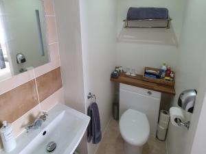 纽基Tregarthen - Adult Only的浴室配有白色卫生间和盥洗盆。