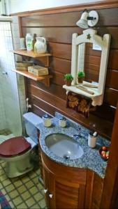 特雷索波利斯Chalé Canoas - Conforto na serra de Teresópolis的一间带水槽、卫生间和镜子的浴室