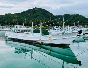 Hiki皆様お宿　海風的一群船停靠在水中