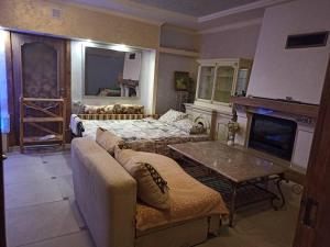 捷尔诺波尔Готель Жасмин的带沙发和壁炉的客厅
