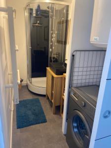 吕格兰BORD DE LAC,2 chambres SUPERBE VUE LAC 5mn Evian的带淋浴和洗衣机的浴室