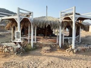 达哈布Cosmos Camp的海滩上带草屋顶的小屋