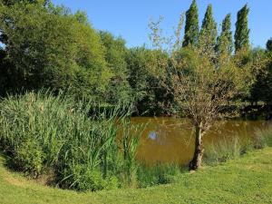 Thorigné-dʼAnjou克洛斯都费卢克斯住宿加早餐旅馆的田间中的一个池塘,有树