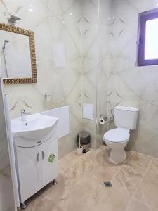 BorinoСемеен хотел "Елеганс" - Борино的一间带卫生间、水槽和镜子的浴室