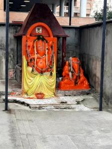 瓦拉纳西Anand Kanan的一座建筑物一侧的马的橙色雕像