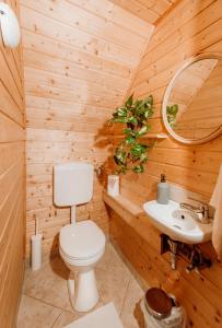 泽拜盖尼Kispatak Vendégház的木制浴室设有卫生间和水槽
