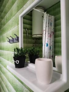 帕莱Stan na dan Goran Pale的浴室设有镜子和架子上的植物