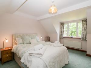Ewyas HaroldHurst Green的一间卧室配有一张大床和一个吊灯。