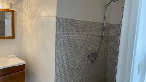 BeauregardLe M Hotel Marie Galante的一间带淋浴的浴室和瓷砖墙
