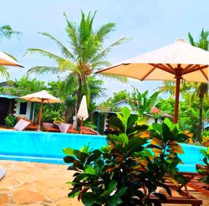 迪亚尼海滩迪亚尼海滩非洲梦别墅酒店的一个带遮阳伞和棕榈树的游泳池的度假酒店