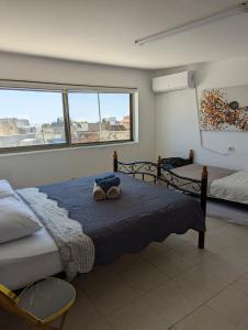 耶路撒冷New Citadel Hostel的一间卧室设有两张床和两个窗户。
