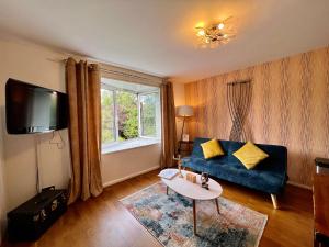 伦敦Great 2 bedrooms apartment 15 mins from the centre的客厅设有蓝色的沙发和窗户。