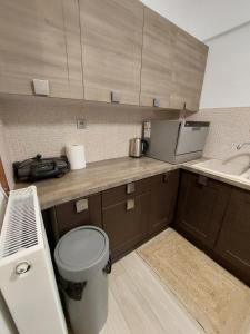 雅典Blue Flag Glyfada Center的一间带卫生间和水槽的小厨房