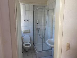 WaldenbuchGasthaus Lamm的带淋浴、卫生间和盥洗盆的浴室