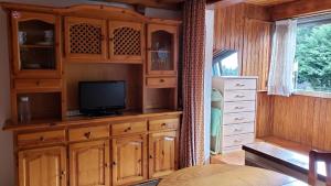 拉莫利纳Studio in Residencia Maresme Neu - La Molina的一间卧室设有木柜,配有电视