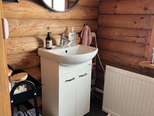 BlaskogabyggoCosy cabin with amazing view on the Geysir的一间带水槽和镜子的浴室