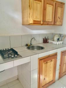科洛里Queen Zee Garden Apartments的厨房配有水槽和炉灶