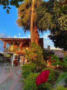 亚美尼亚拉斯帕尔马斯生态酒店的一座建筑前的棕榈树