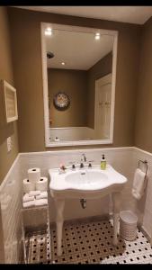 滨湖尼亚加拉Dot's Landing Garden Room的浴室设有白色水槽和镜子