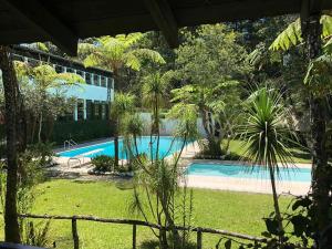 科万Posada Montaña del Quetzal的享有花园中游泳池的景致