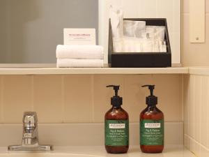 成田成田全日空皇冠假日酒店的浴室水槽上放有两瓶肥皂