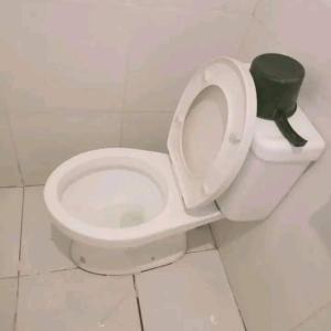 曼达维市WJV INN BASAK MANDAUE BRANCH的浴室内有白色的厕所,盖子上