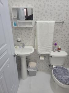 苏莎亚Sosua Apartment 4-Bedrooms的一间带水槽和卫生间的小浴室