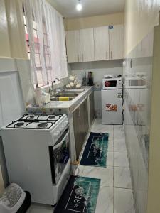 尼耶利Ruby Modern Homes-1br-Nyeri, King'ong'o-Marriott的小厨房配有炉灶和水槽
