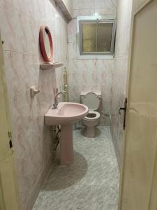 法尤姆Azzam Guest House 1 families only的一间带水槽和卫生间的浴室