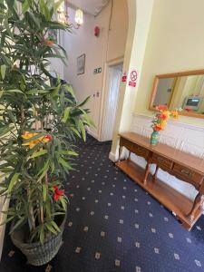 伦敦Thanet Hotel Annex的走廊上,房间里摆放着桌子和植物