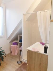 Crèvecoeur-le-GrandLes Epinettes chambres d'hôtes的一间带水槽和淋浴的浴室