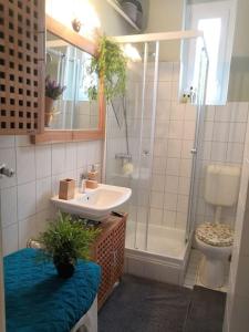 布达佩斯Lake Park Residence的一间带水槽、淋浴和卫生间的浴室
