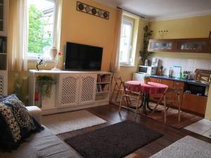 布达佩斯Lake Park Residence的带沙发和桌子的客厅以及厨房。