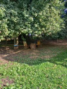 Grainville-YmauvilleLes Insolites de Nini的树下两长椅的公园