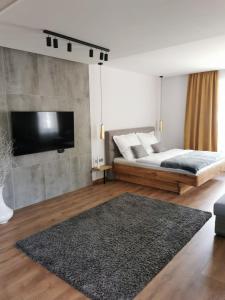 锡尔沃斯瓦里德CsakTi Vendégház的一间卧室配有一张床和一台平面电视
