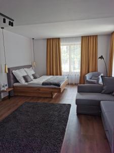 锡尔沃斯瓦里德CsakTi Vendégház的一间带两张床和一张沙发的客厅
