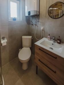 波德古任Szary Domek w Karkonoszach的一间带卫生间和水槽的浴室