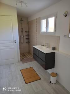 VilleneuveAgréable appartement au calme的一间带水槽和淋浴的浴室以及一扇门