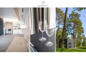 拉普梅茲采姆斯Serenity House & Sauna on the Coast of Baltic Sea的两个酒杯坐在房间里桌子上