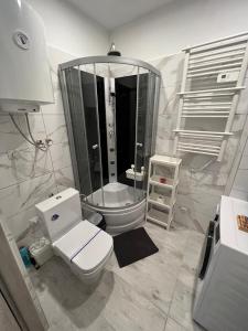 卡托维兹London Apartments - Free parking的一间带卫生间和玻璃淋浴间的浴室