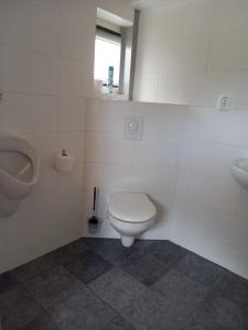 Stuifzand斯塔尔扎特沙普公寓酒店的一间带卫生间、小便器和盥洗盆的浴室